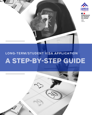 Visa guide