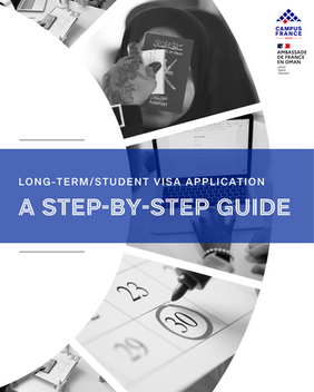 Visa guide